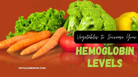 Eat Your Way to Better Blood Health: 15 Hemoglobin-Boosting Vegetables » Noah's Digest