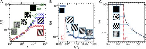 Formation of dissipative structures in microscopic models of mixtures ...