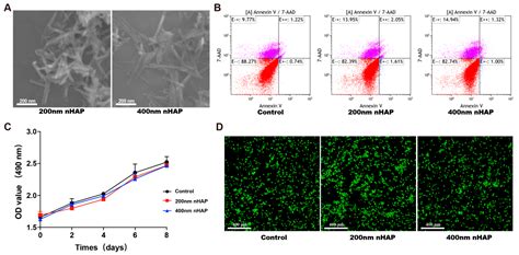 Biocompatible Nano-Hydroxyapatites Regulate Macrophage Polarization
