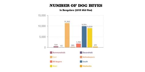 Rabies Still a Problem in Bengaluru – The Softcopy