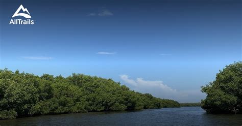 Image result for Where Is Shell Key Florida