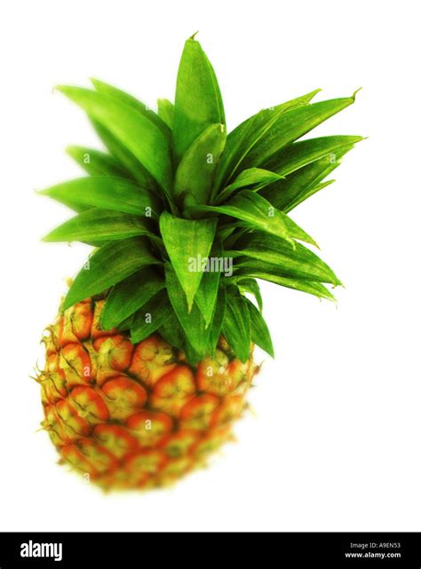 Pineapple Names In Other Languages at Carl Atkins blog