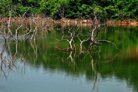 maredumilli-gallery-konaseema