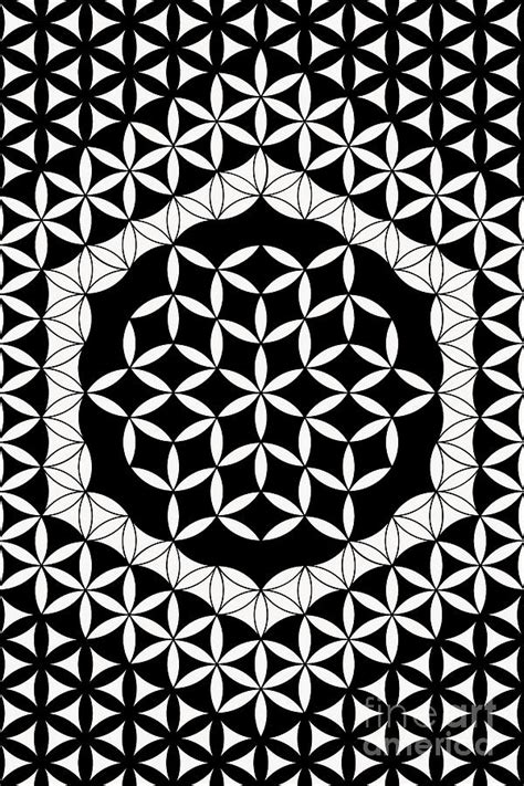 Image result for Flower of Life Pattern