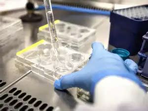 fertility clinic chain: Indira IVF in discussions for acquisitions in ...