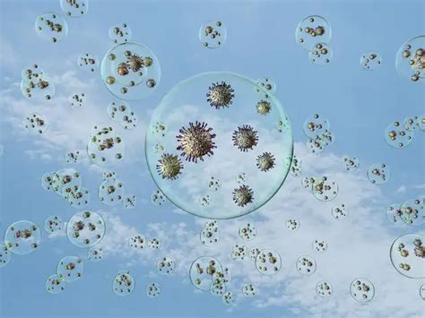 Is your food susceptible to the coronavirus? - Effect of coronavirus on ...