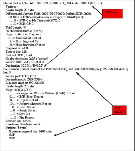 Image result for Basic IP Packet