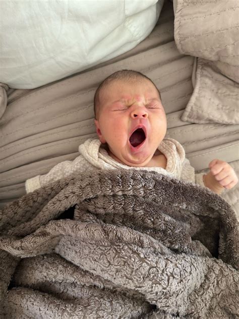 Melissa Gastelum on LinkedIn: Three weeks ago I welcomed my newest co-worker, Ramona Jane ️ We ...