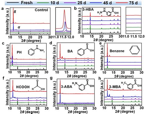 Image result for Normal Phase Grouper