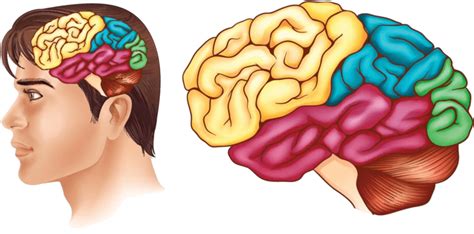 Memory 的图像结果