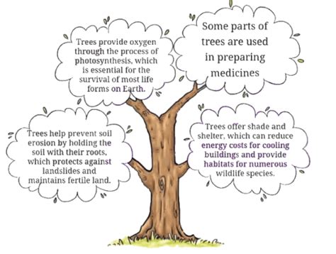 Neem Baba NCERT Solutions - English Class 6 (Honeysuckle) PDF Download