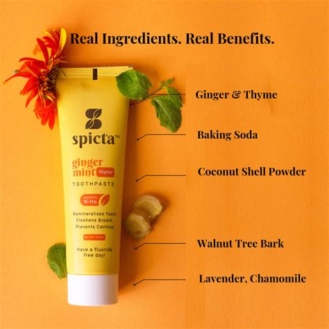 Spicta Ginger Mint Toothpaste | Natural, Fluoride-Free, SLS-Free | Best ...