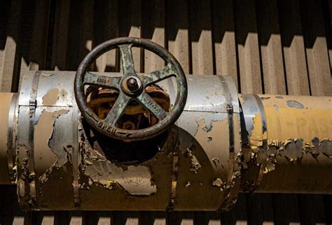 Image result for Spring Loaded Swing Check Valve