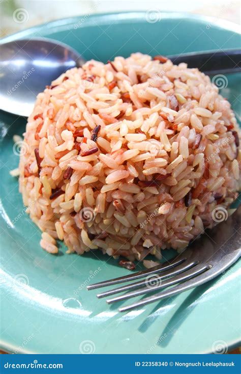 Brown cooked rice stock photo. Image of indian, plate - 22358340