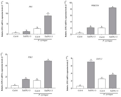 Expression of EPL1 from Trichoderma atroviride in Arabidopsis Confers ...
