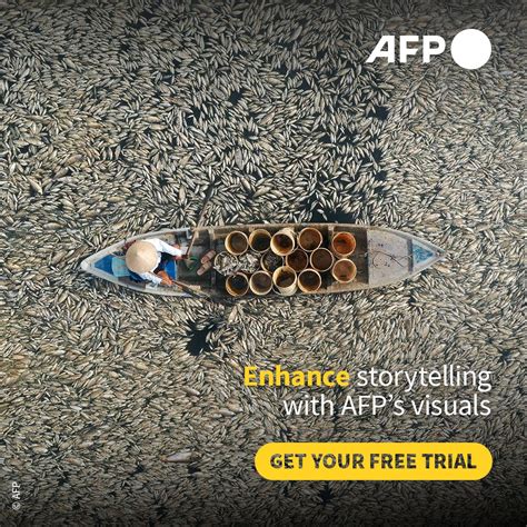 AFP Breaking News 的图像结果