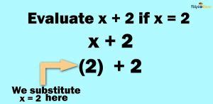 Image result for Algebraic Expression Examples