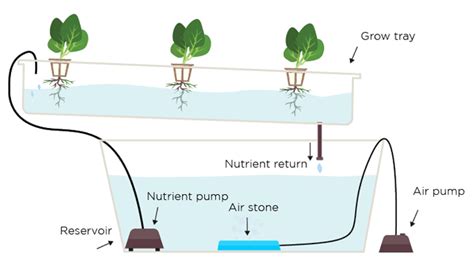Home Fresh Hydroponics