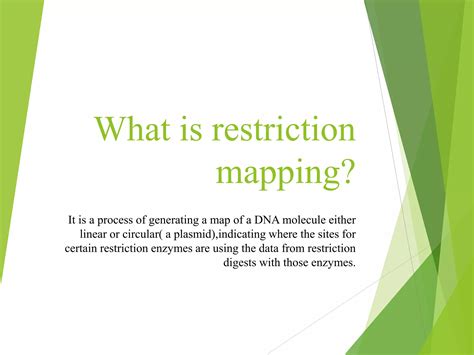 Circular Restriction Mapping 的图像结果