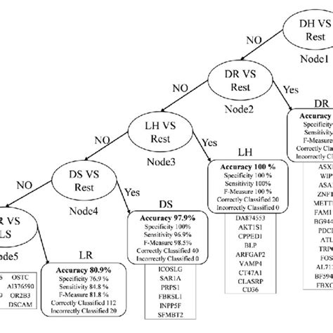 Image result for Multivariable Classification Model