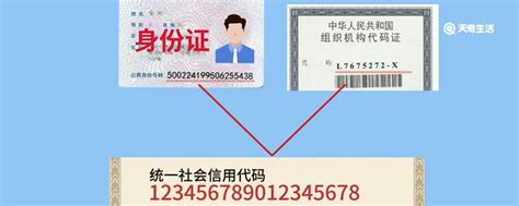 什么是社会信用代码？社会信用代码如何查？_统一