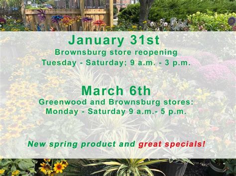 McCammon's Irish Market - Garden, Landscaping