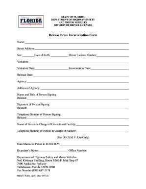 FL HSMV 72077 2010 - Fill and Sign Printable Template Online