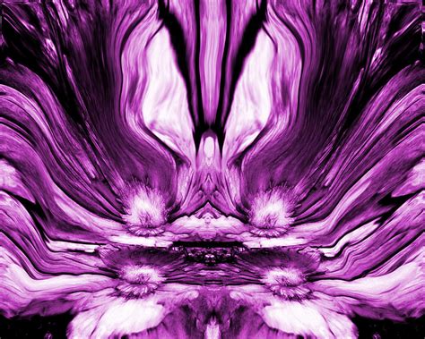 Image result for Plum Paper Reflection