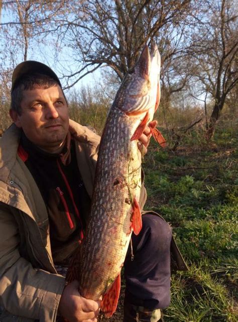 Звіт з рибалки Щупак - Rivnefish