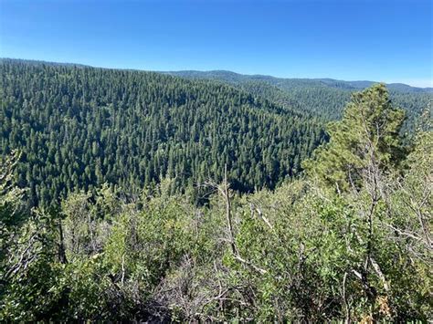 PINES CAMPGROUND (Cloudcroft) - Campground Reviews & Photos - Tripadvisor