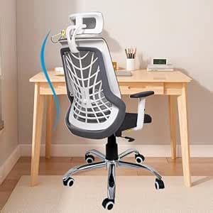 FUGO by Nice Goods Ergonomic Executive High Back Office Chair, Home ...