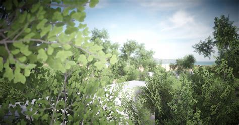 Mobile Tree Bundle | 3D Trees | Unity Asset Store