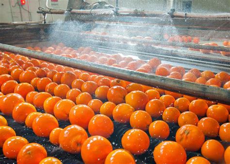 What is the Process of Treating Wastewater Produced in the Food and ...