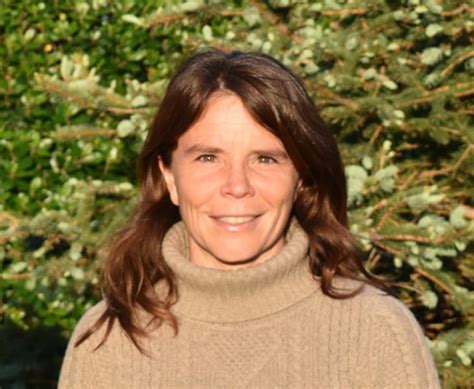 Carbon Capture eBook : Wilcox, Jennifer: Amazon.in: Kindle Store