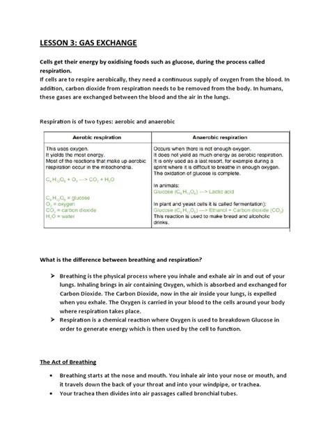 Image result for Free Science Lessons Gas Exchange