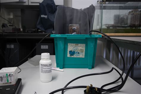 antshoot (15 of 80) – liamturnbullblog