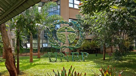 Past sessions of the Governing Council | Environment Assembly