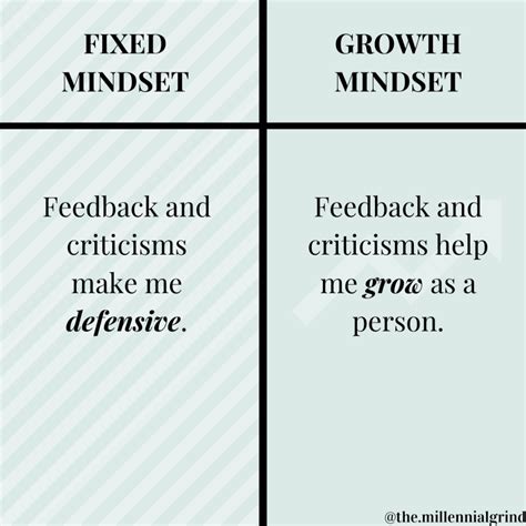 Fixed Mindset Examples 的图像结果