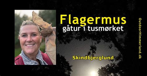 Flagermus - en gåtur i tusmørket i Skindbjerglund, Skindbjerglund 12 ...