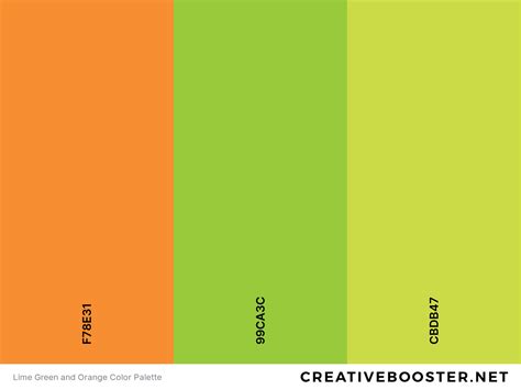 25+ Best Colors That Go With Orange (Color Palettes) – CreativeBooster