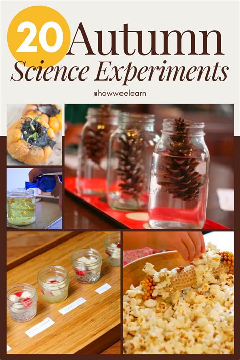 Image result for Free Fall Experiments