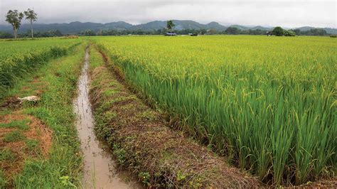 The Furrow Magazine | John Deere