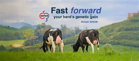Pukekohe - Fast Forward Your Herds Genetic Gain Roadshow!, Franklin ...