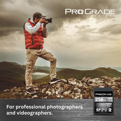 ProGrade Digital SDXC UHS-II V90 Memory Card (256GB), Silver ...