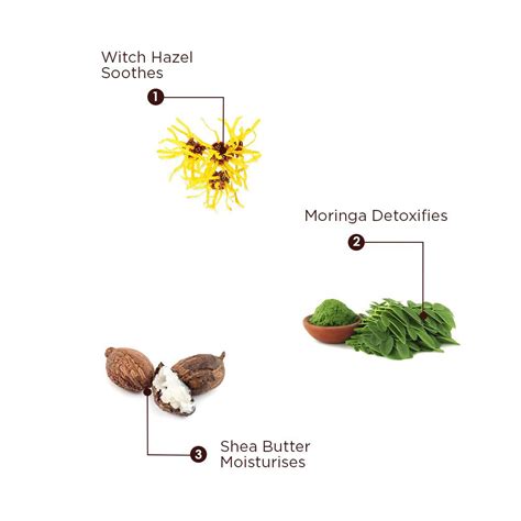 Foxy.in : Buy The Skin Story Moringa & Shea Butter Facewash(100ml ...