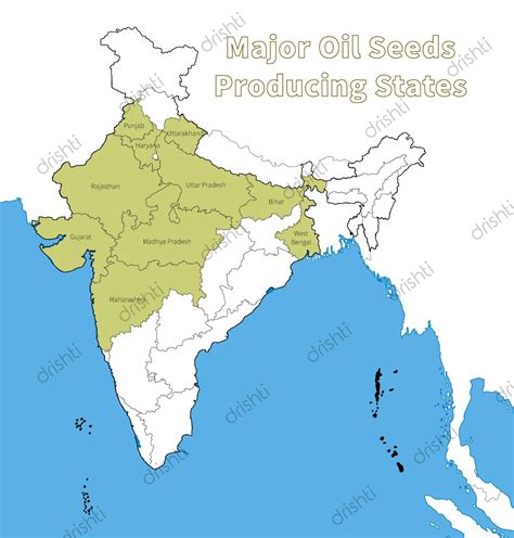 Cropping Patterns and Major Crops of India: Part Two