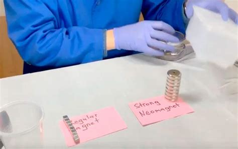 Image result for Magnetic Field Science Project