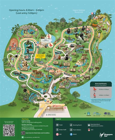 Singapore Zoo: Ultimate Guide for a Half-Day Wildlife Adventure | MERLION CHANNEL