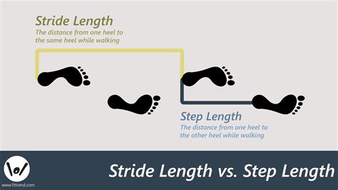 How To Calculate Your Stride Length • FitTrend