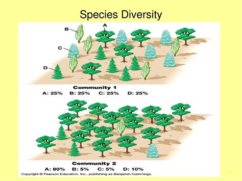 PPT - Species Abundance and Diversity PowerPoint Presentation, free ...